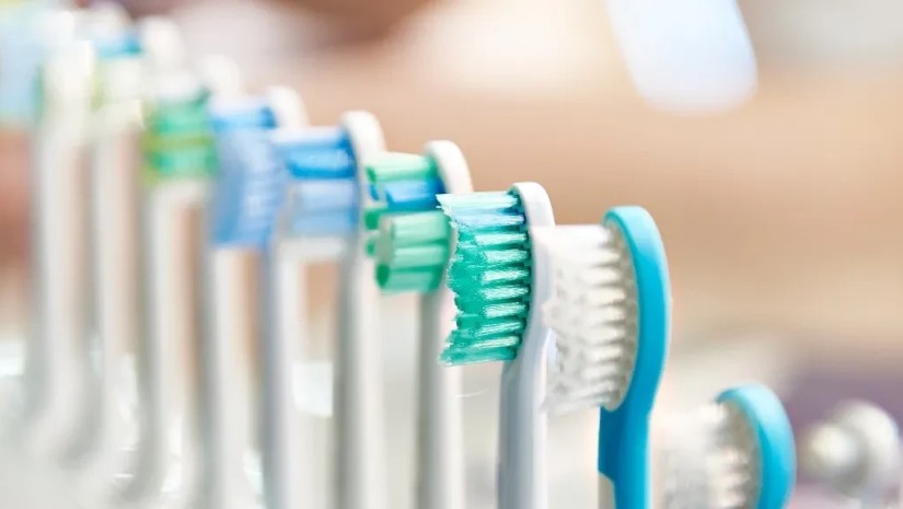 ჯაგრისი