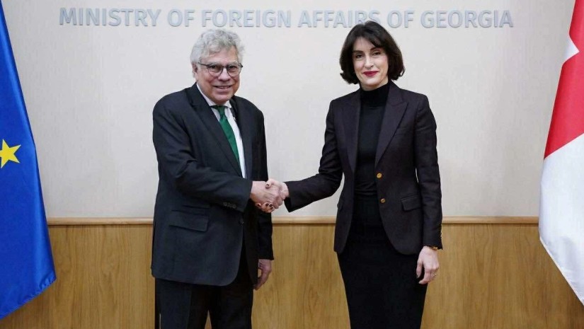 მაკა ბოჭორიშვილი ბრაზილიის ელჩს შეხვდა