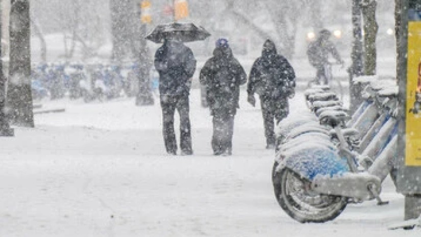  ჩრდილოეთ კაროლინა