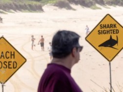 სიდნეი სიდნეი