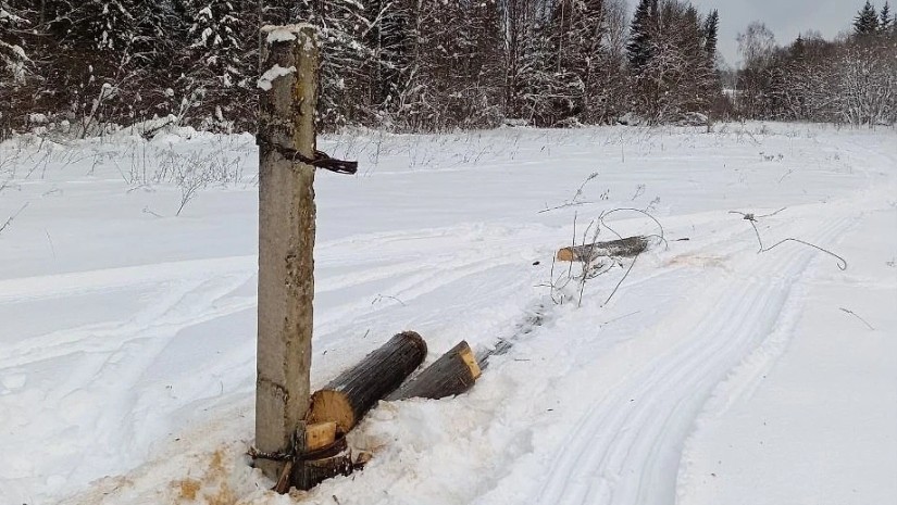 ქურდობა