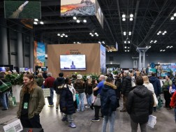 ტურიზმი