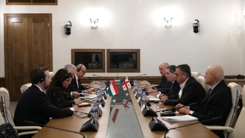  გელა სამხარაული უნგრეთის ეროვნული ასამბლეის ვიცე-სპიკერს შეხვდა