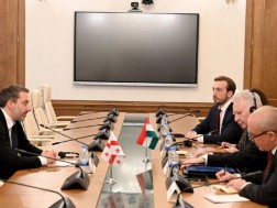 მეზურნიშვილი