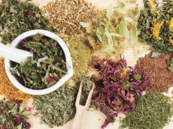 მცენარეები ხველისთვის