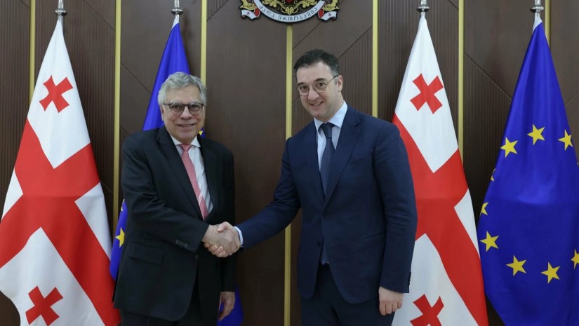 დავით სონღულაშვილი ბრაზილიის ფედერაციული რესპუბლიკის ელჩს შეხვდა