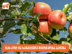 საქართველოს ბანკის მხარდაჭერით, შპს პომ-მა სამაცივრე მეურნეობა ააშენა