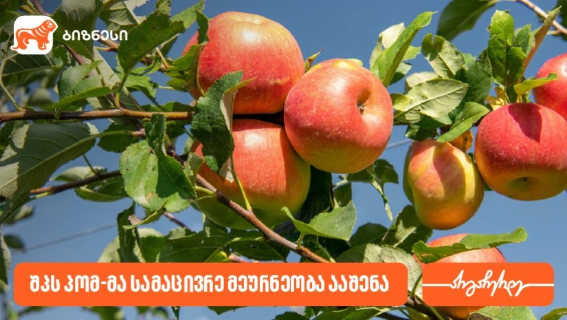 საქართველოს ბანკის მხარდაჭერით, შპს პომ-მა სამაცივრე მეურნეობა ააშენა