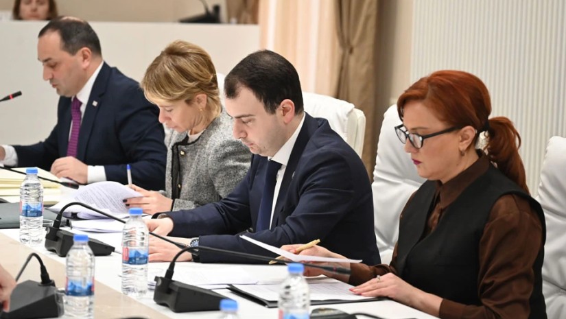 განათლების, მეცნიერებისა და ახალგაზრდულ საქმეთა კომიტეტი