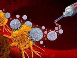 თერაპია კიბოს წინააღმდეგ