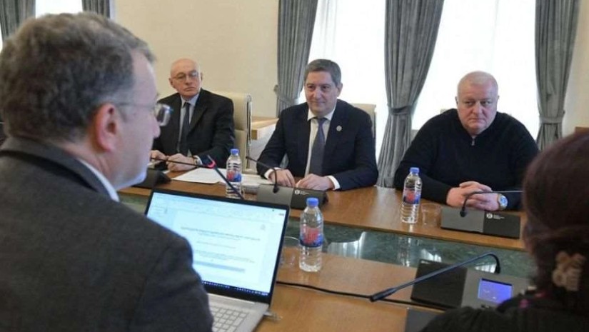 გელა სამხარაული გარემოს დაცვისა და სოფლის მეურნეობის მინისტრის მოადგილეს შეხვდა