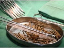 ლურსმნები