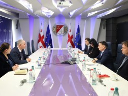 ფინანსთა მინისტრი  საქართველოში  გაეროს მუდმივ კოორდინატორს  შეხვდა