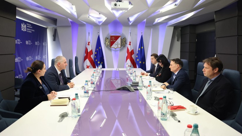 ფინანსთა მინისტრი  საქართველოში  გაეროს მუდმივ კოორდინატორს  შეხვდა