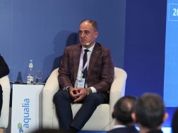 დავით ნარმანია