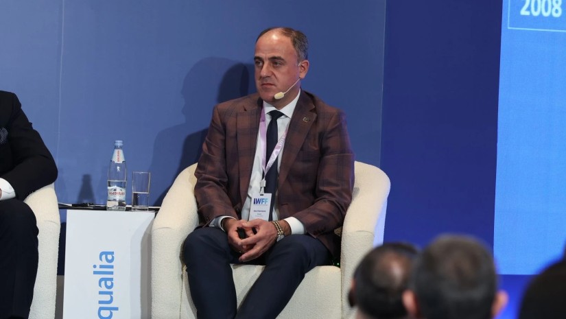 დავით ნარმანია