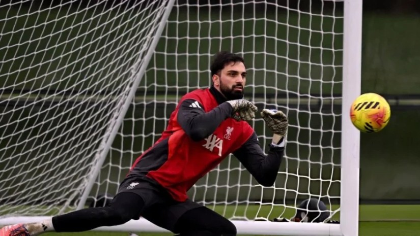 მამარდა