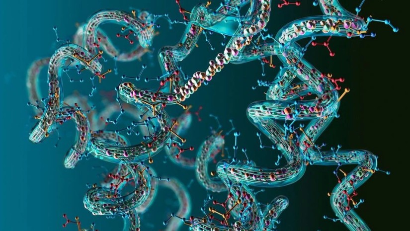 ტვინის დაბარება