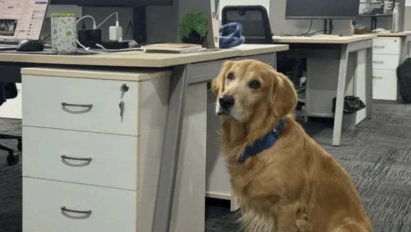 ინდოეთი