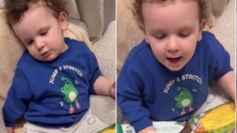 დამიანე