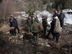 ტანას დათევზიანება ტანას დათევზიანება