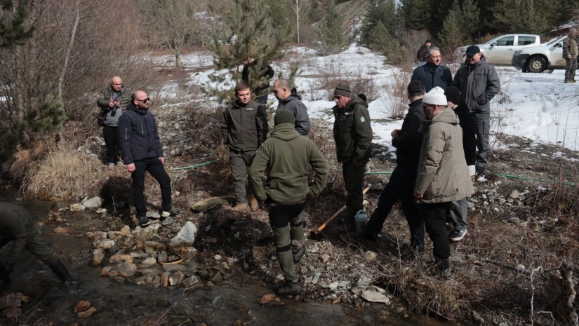 ტანას დათევზიანება