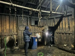 აბაშა აბაშა