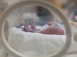 ჩვილი ჩვილი