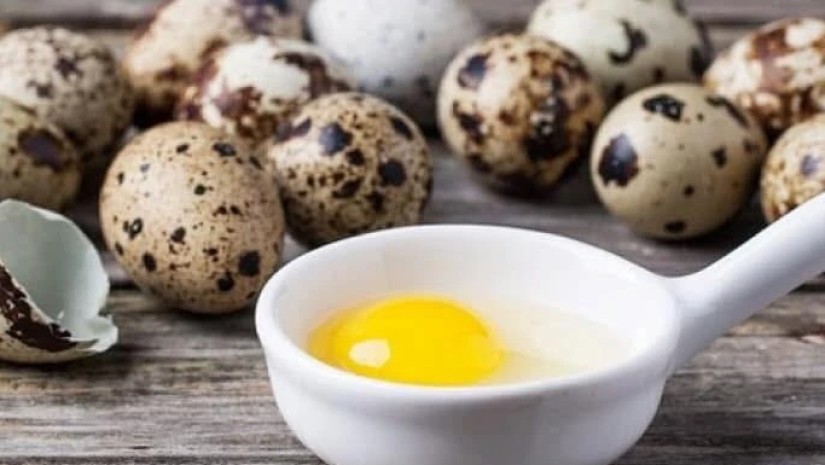 მწყერის კვერცხი