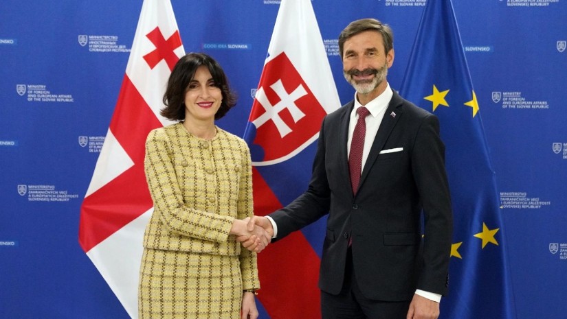 საქართველოს საგარეო საქმეთა მინისტრი, მაკა ბოჭორიშვილი სლოვაკეთის საგარეო და ევროპულ საქმეთა მინისტრს, იურაი ბლანარს შეხვდ