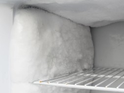 საყინულე