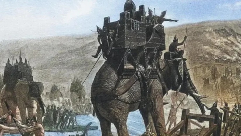 საბრძოლო სპილოები