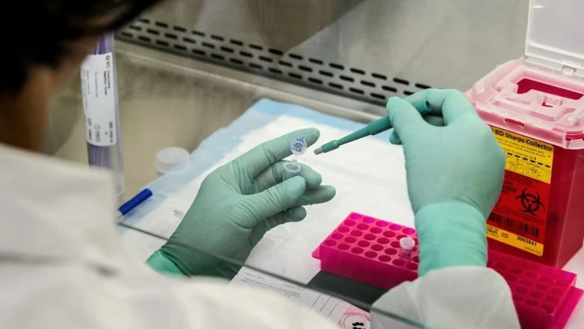 აღმოაჩინეს უძველესი ბაქტერია