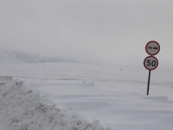 გზების დეპარტამენტი