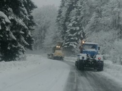 საზოგადოება