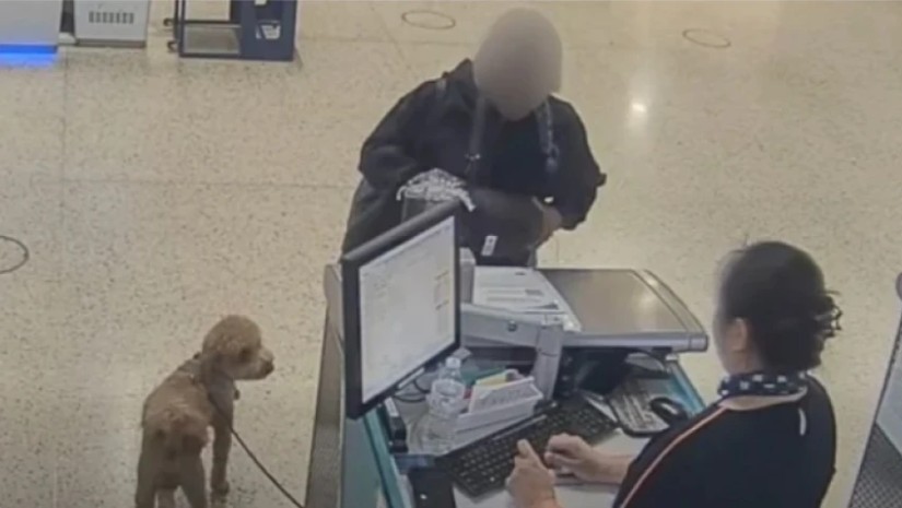 აეროპორტი