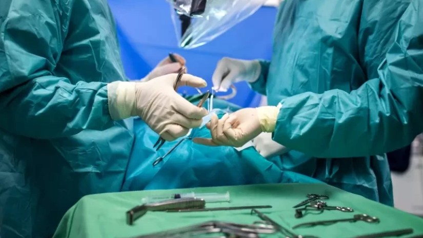 ტრანსპლანტაცია