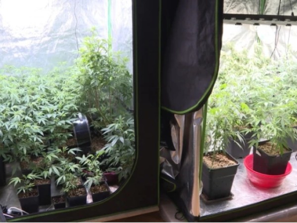 კუსტარული ნარკოლაბორატორია