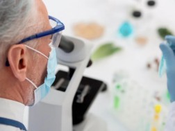 მეცნიერი მეცნიერი