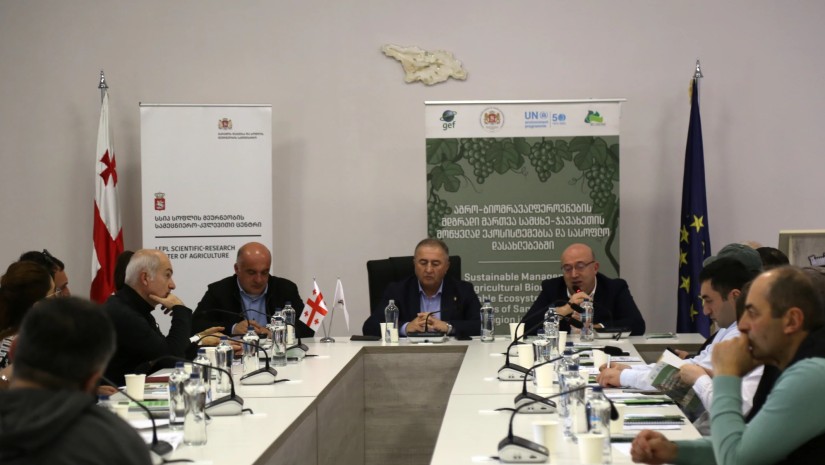 მესხური ვაზისა და ღვინის განვითარების სტრატეგიულ საკითხებზე სამუშაო შეხვედრა გაიმართა