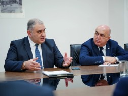 მიხეილ სარჯველაძე