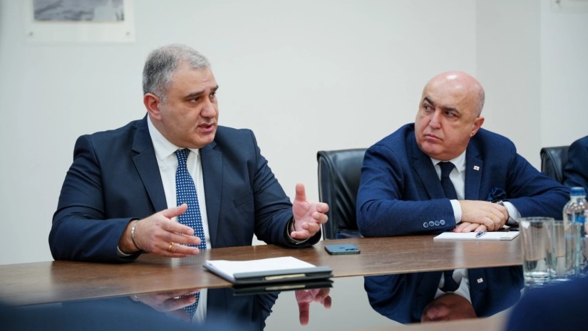 მიხეილ სარჯველაძე