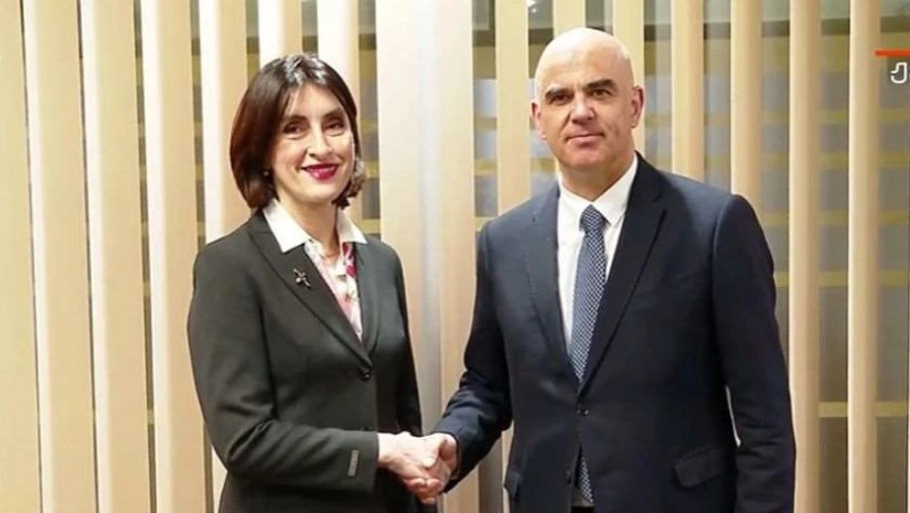 საგარეო საქმეთა მინისტრი ევროპის საბჭოს გენერალურ მდივანს, ალენ ბერსეს შეხვდა