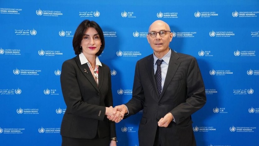 მაკა ბოჭორიშვილი გაეროს ადამიანის უფლებათა უმაღლეს კომისარს შეხვდა