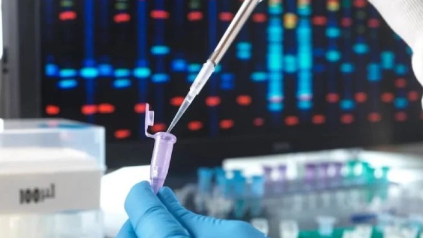 ანალიზი