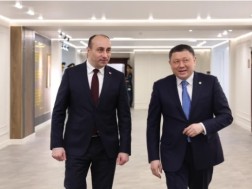 გეკა გელაძე