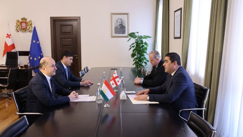 შალვა პაპუაშვილი საქართველოში ტაჯიკეთის რესპუბლიკის ელჩს შეხვდა