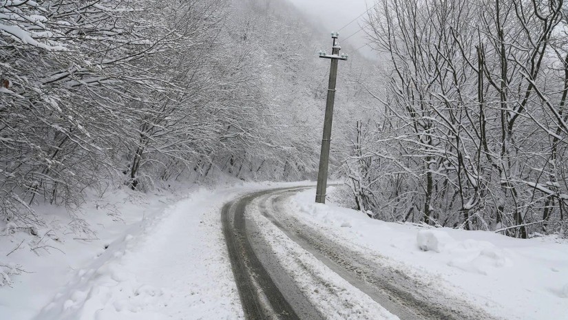 ვერონა - თბილისი