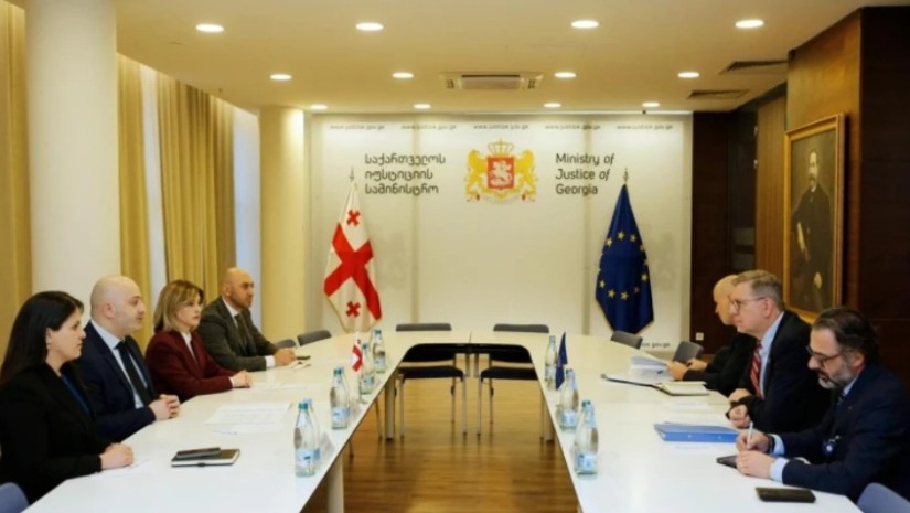 იუსტიციის მინისტრის მოადგილე