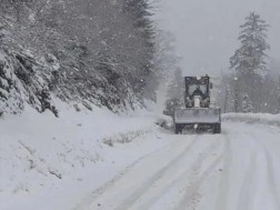 გომის გზა